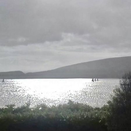 Green Garden Meets Blue Sea For 2 People Dingle Bagian luar foto