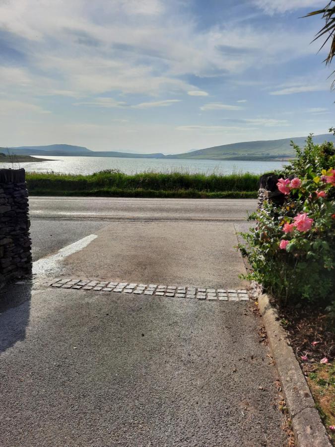 Green Garden Meets Blue Sea For 2 People Dingle Bagian luar foto